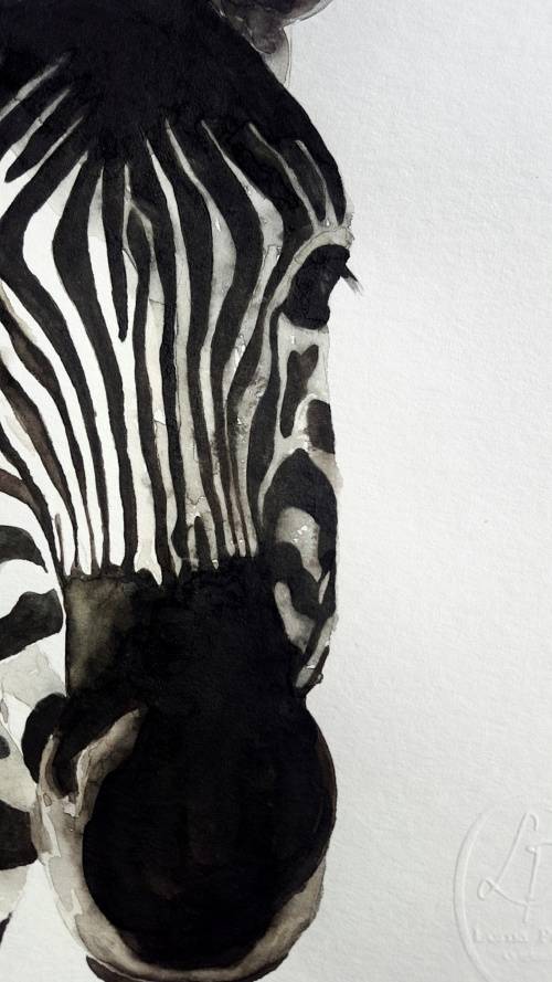 Original Painting by Lorna Pauls - Zebra2 (29.7cm x 42cm)