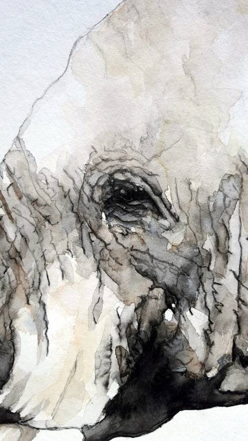 Original Painting by Lorna Pauls - "Embrace" Elephant (42cm x 29.5cm)