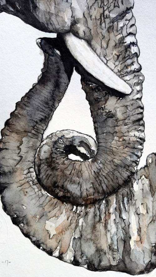 Original Painting by Lorna Pauls - "Embrace" Elephant (42cm x 29.5cm)