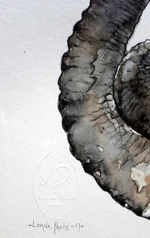 Original Painting by Lorna Pauls - "Embrace" Elephant (42cm x 29.5cm)