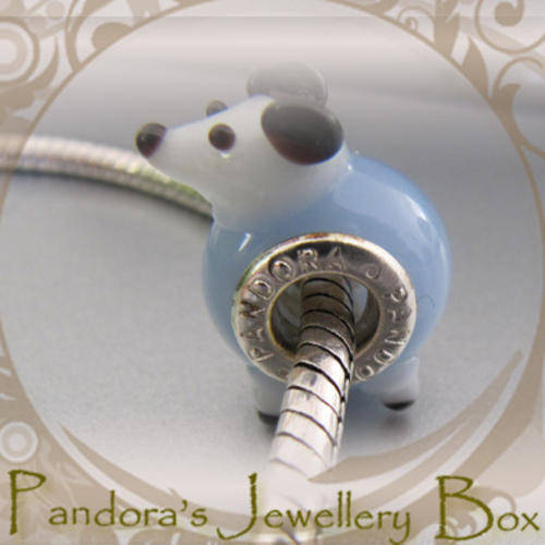 Pandora Bead Charm