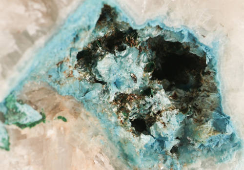 Shattuckite on Calcite Vug, Tantara Mine, DRC