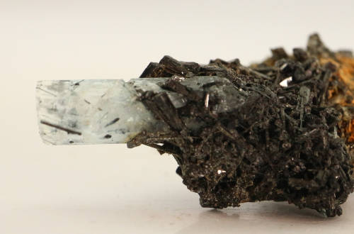 Aquamarine and Schorl, Erongo Mnt Region, Namibia