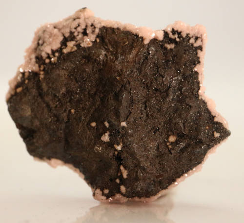 Rhodochrosite on Matrix, N`Chwaning II, Northern Cape, South Africa