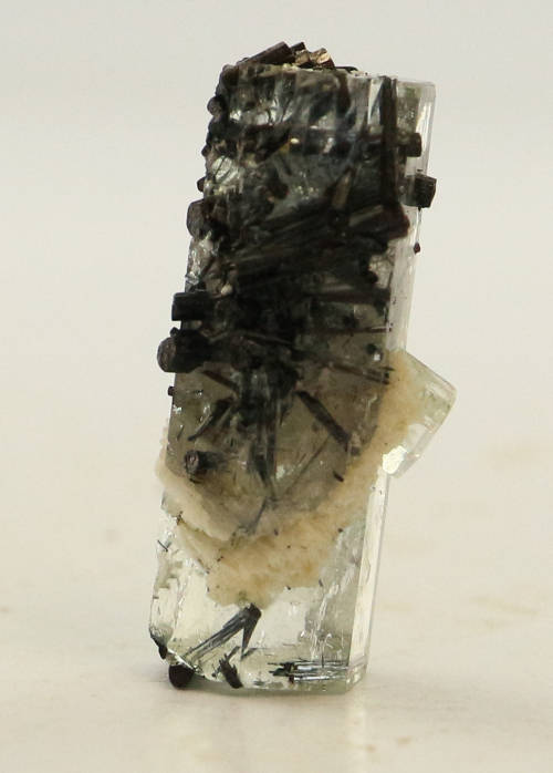 Schorl on Aquamarine, Erongo Mnt Region, Namibia