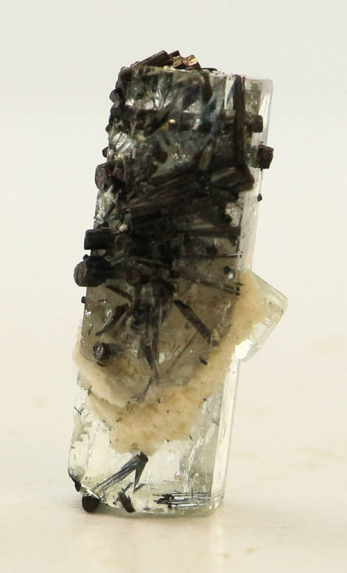 Schorl on Aquamarine, Erongo Mnt Region, Namibia