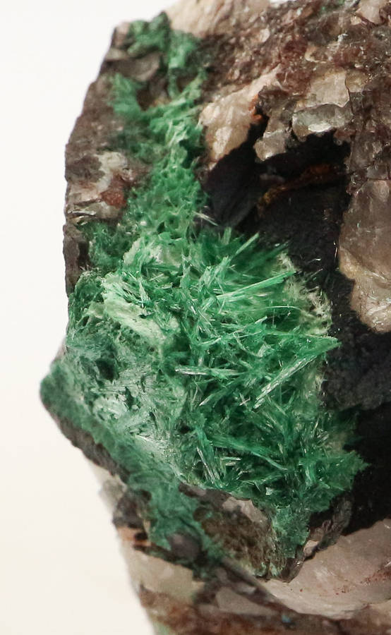 Malachite on Matrix, Skorpion Mine, Karas Region, Namibia
