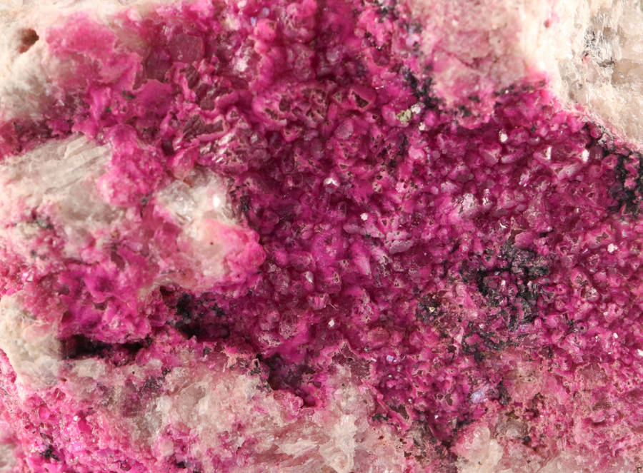 Cobaltoan Calcite on Matrix, Mashamba West Mine, DRC