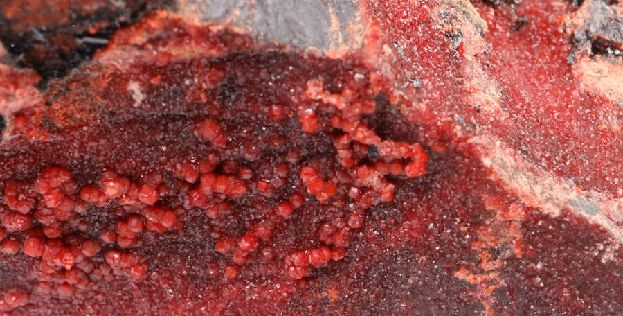 Andradite and Gaudefroyite on Matrix, Wessels Mine, Northern Cape, South Africa