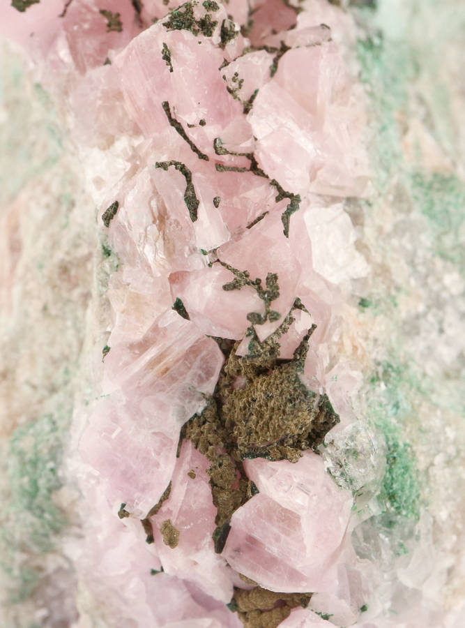 Cobaltoan Calcite on Matrix, Mashamba West Mine, DRC