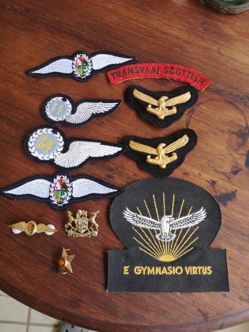 VARIOUS MILITARY BADGES.
