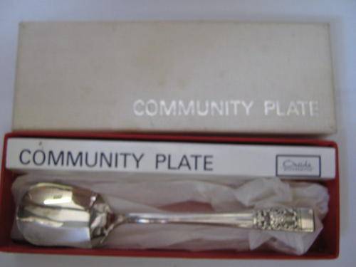Community Plate Jam Spoon