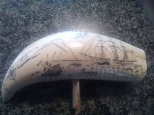 Unique Whale tooth inscribed with pictures depicting whaling activities and a ship.