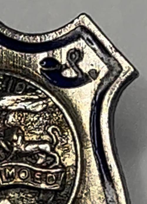 SOUTH AFRICA : Vintage Orangia pin badge - Vryheid-Geduld en Moed Immigratie