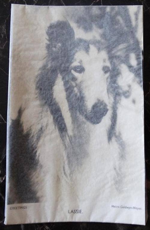 Greeting Card Of Lassie
