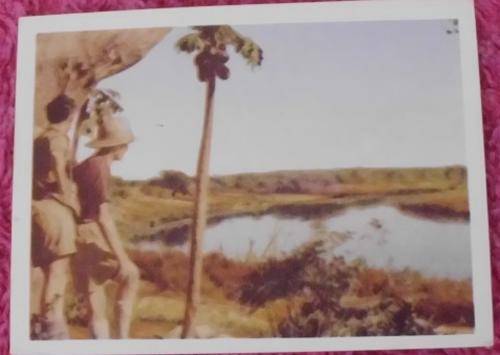 Our South African National Parks Sabie River