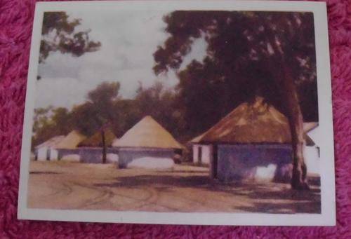 Our South African National Parks Letaba Camp
