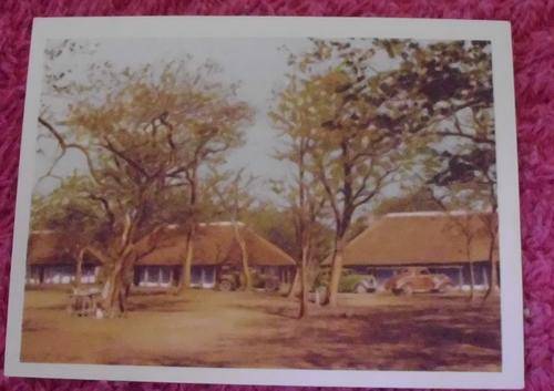 Our South African National Parks Shingwedzi Camp