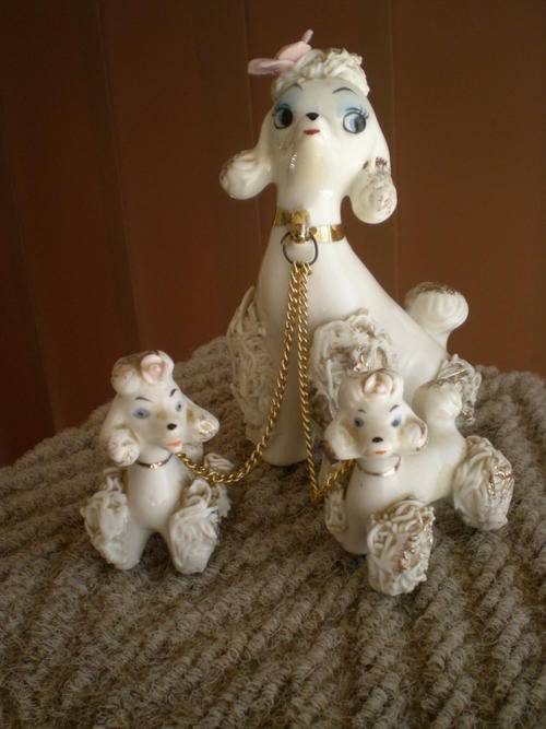 Cute Mummy Poodle with her pups.