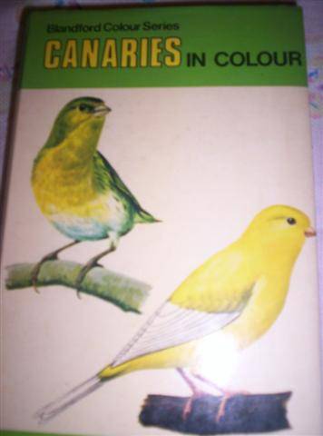 Canaries in Colour - George Lynch - @hardcover First Published 1971