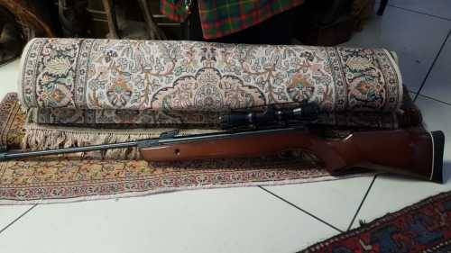 Air rifle Gamo hunter basic with telescope