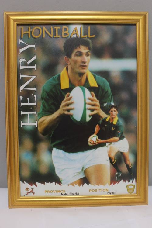 Framed Springbok - Henry Honiball
