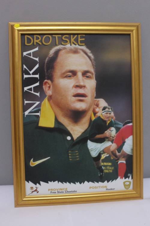 Framed Springbok - Naka Drotske