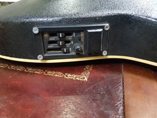 Stagg acoustic guitar with builtin amp