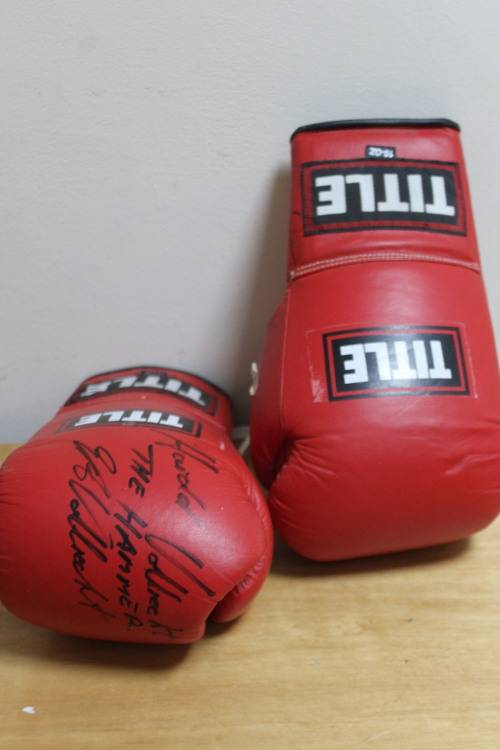 Harold "The Hammer" Volbrecht boxing gloves