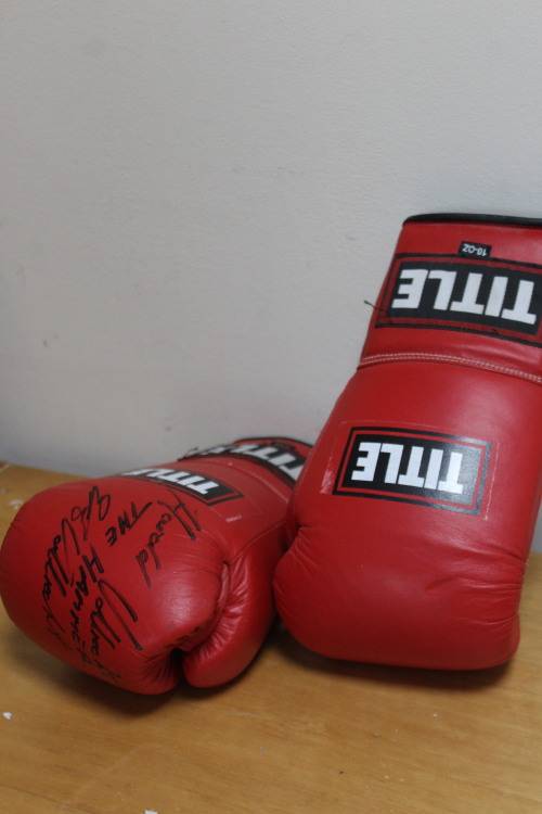 Harold "The Hammer" Volbrecht boxing gloves