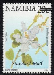 Namibia - 2005 Surcharges Std Mail on 20c Type II MNH SACC 488