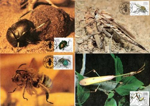 SWA - 1987 Useful Insects Maxi Card Set