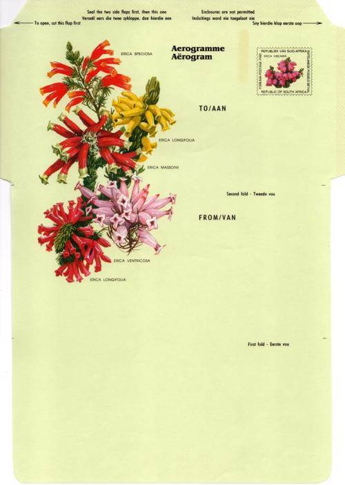South Africa - 1993 Ericas Aerogramme Mint