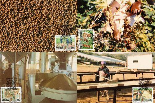 Venda - 1988 Coffee Industry Maxi Card Set