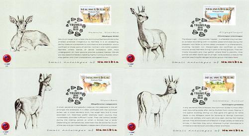 Namibia - 2015 Small Antelopes FD Card Set 5.11-5.14
