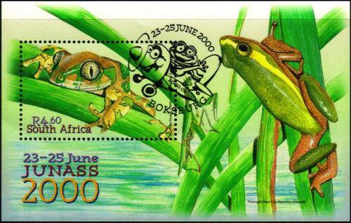 South Africa - 2000 Junass Frogs MS Used SACC 1257 (1253)