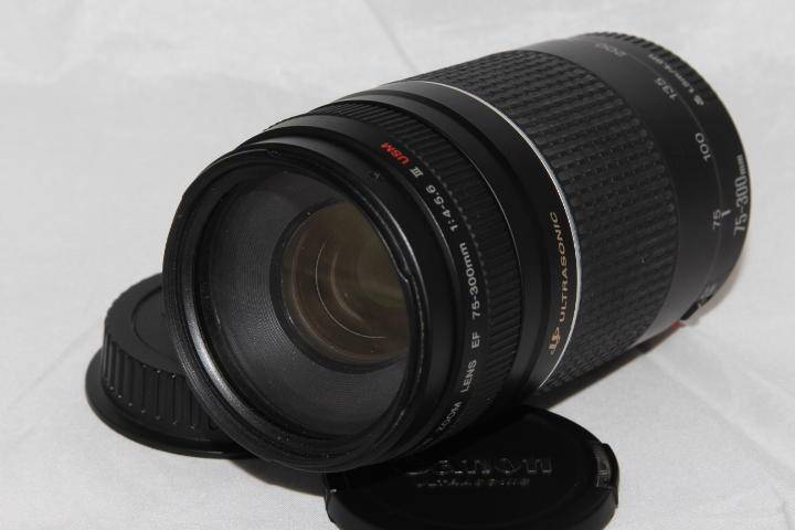 Canon EF 75-300mm f/4-5.6 III USM (Ultrasonic)