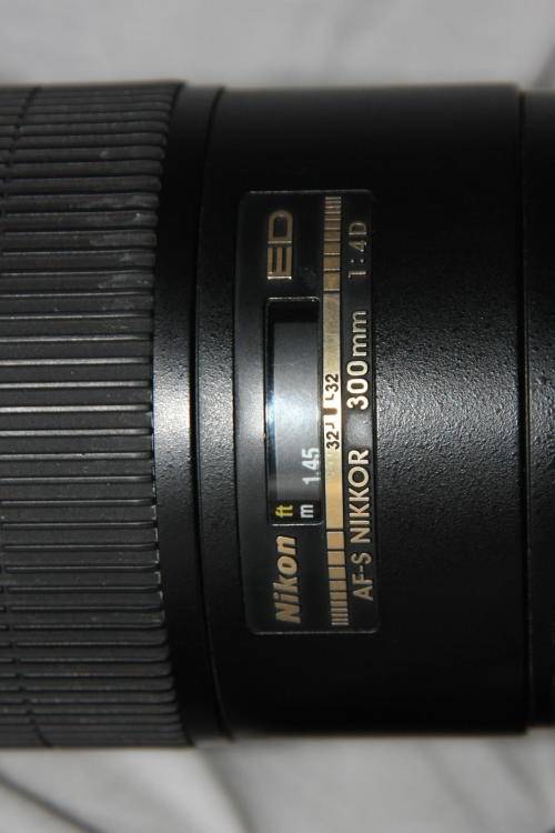 Nikon AF-S Nikkor 300mm f/4D IF-ED