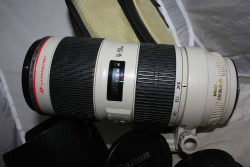 Canon EF 70-200mm f/2.8 L IS ii (mark 2)