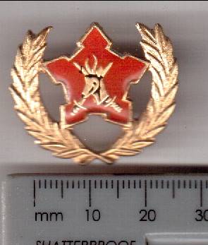 Army breast badge for citizen force, commando's and volunteers for 5 years service - as per scan
