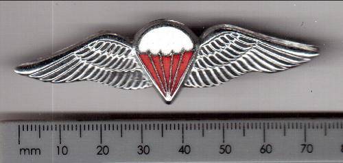 SA army parachute free fall badge, chrome and enamel, used from 1970 - as per scan