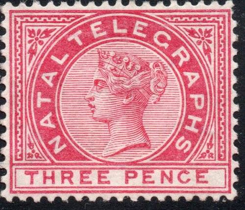 NATAL 1881 SG T2 3d Rose-carmine TELEGRAPH stamp MNG