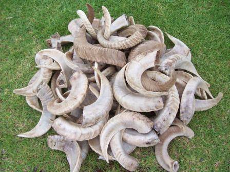 Ideal for making knives