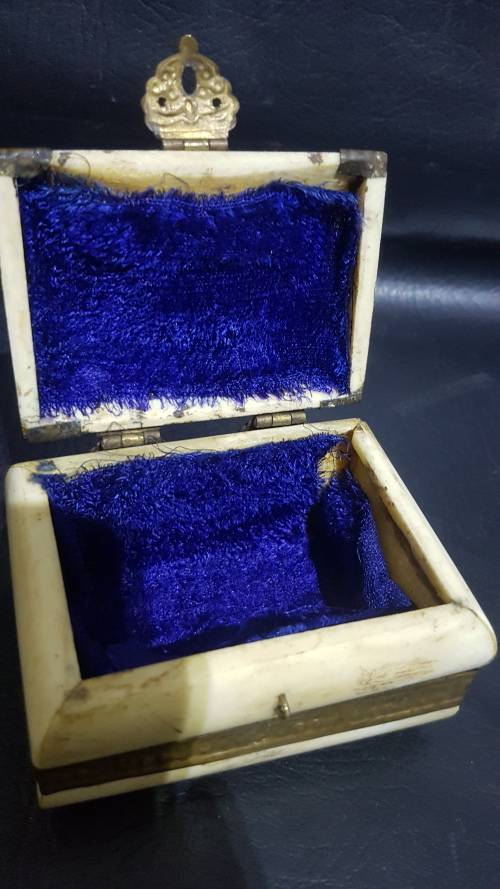 Beatifull bone and grass box!!!!