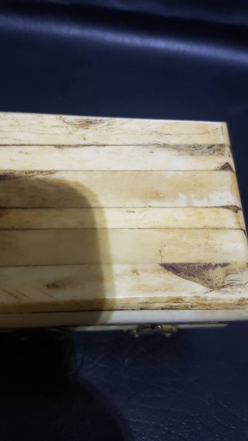 Beatifull bone and grass box!!!!