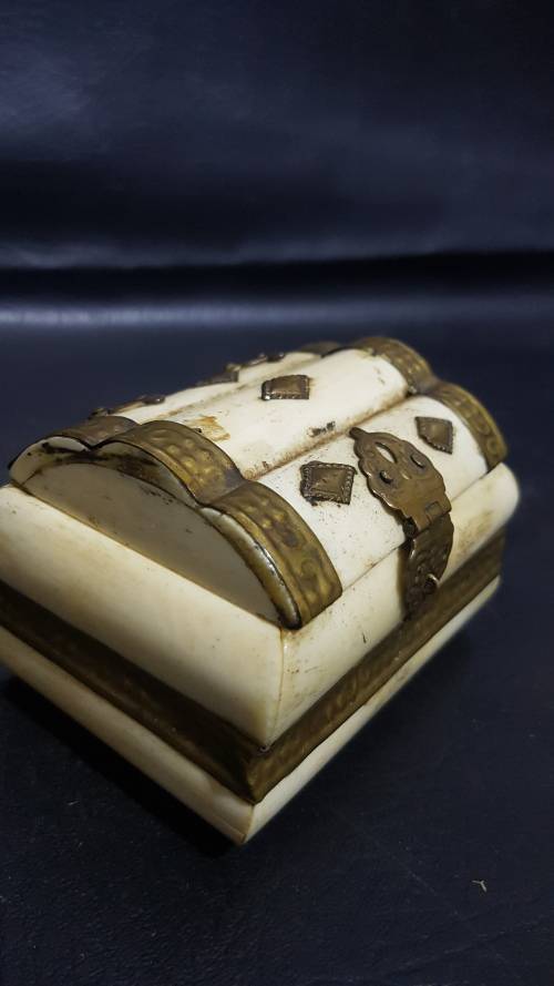 Beatifull bone and grass box!!!!