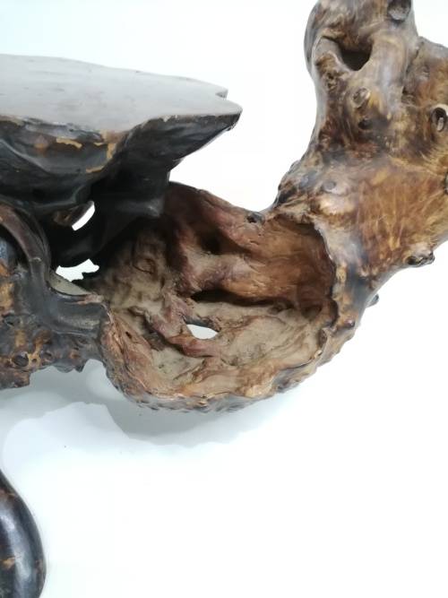 Stunning large  English Burr wood display piece!!!!!