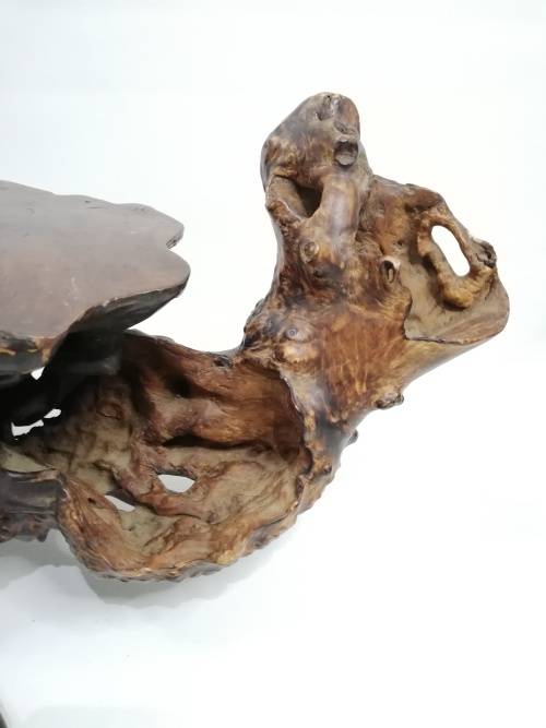 Stunning large  English Burr wood display piece!!!!!