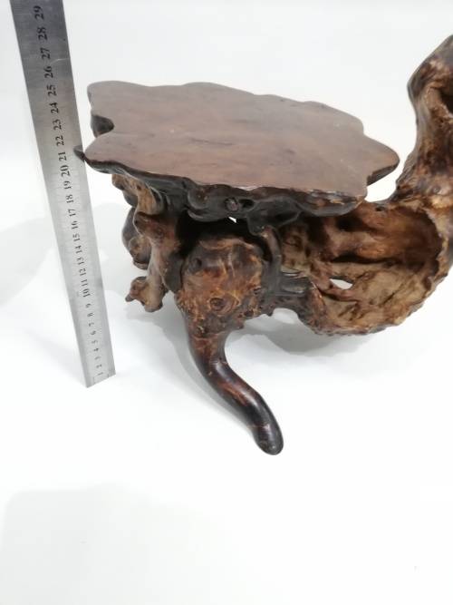 Stunning large  English Burr wood display piece!!!!!