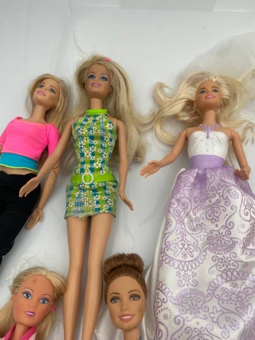 COLLECTION PF BARBIE DOLLS BID FOR ALL !!!!